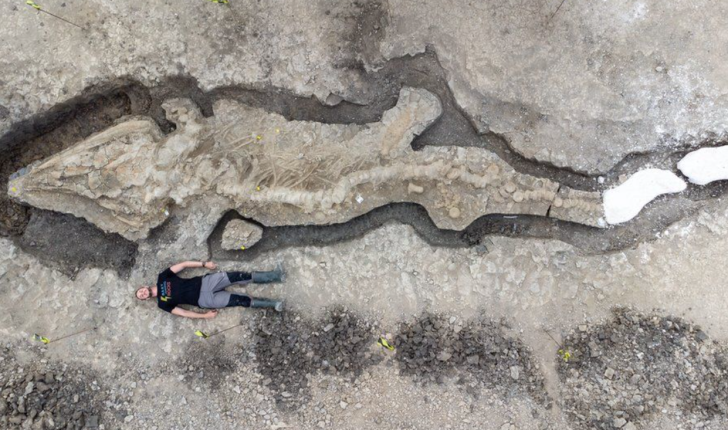  Zbulohet fosili i ‘dragoit të detit’