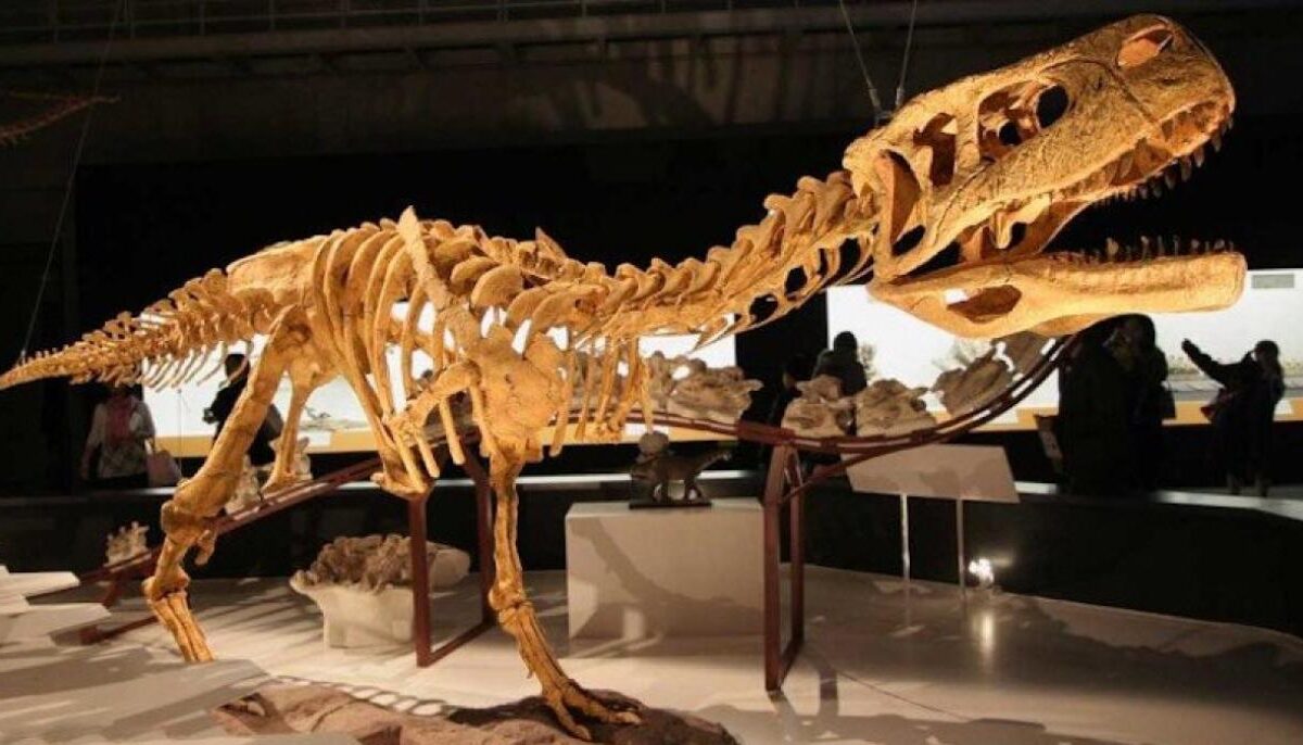 Studiuesit zbulojnë dinozaur të ri pa krahë në Argjentinë