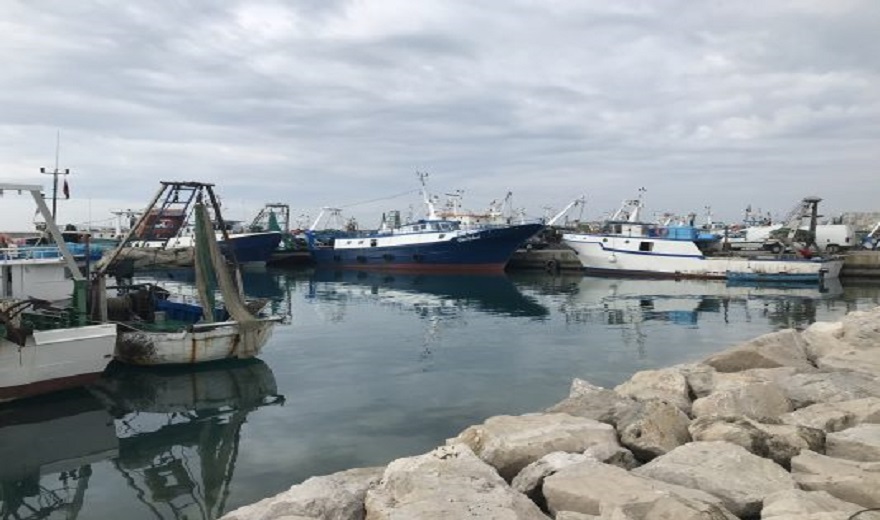  Peshkatarë egjiptianë në Vlorë/ Të huajt zgjedhin Shqipërinë për të punuar