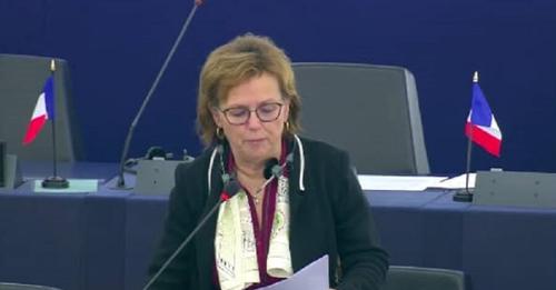  Skandaloze: Eurodeputetja franceze propozon rezolutë për serbët e Kosovës pasi nuk u lejua referendumi!
