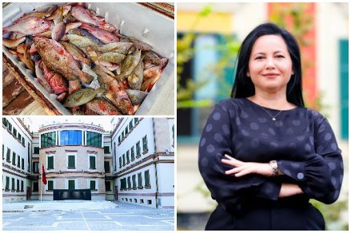  “Punë me 1 arkë me peshk, 1 mijë € e 1 telefon”, Rovena Voda kërkon pushim të çështjes