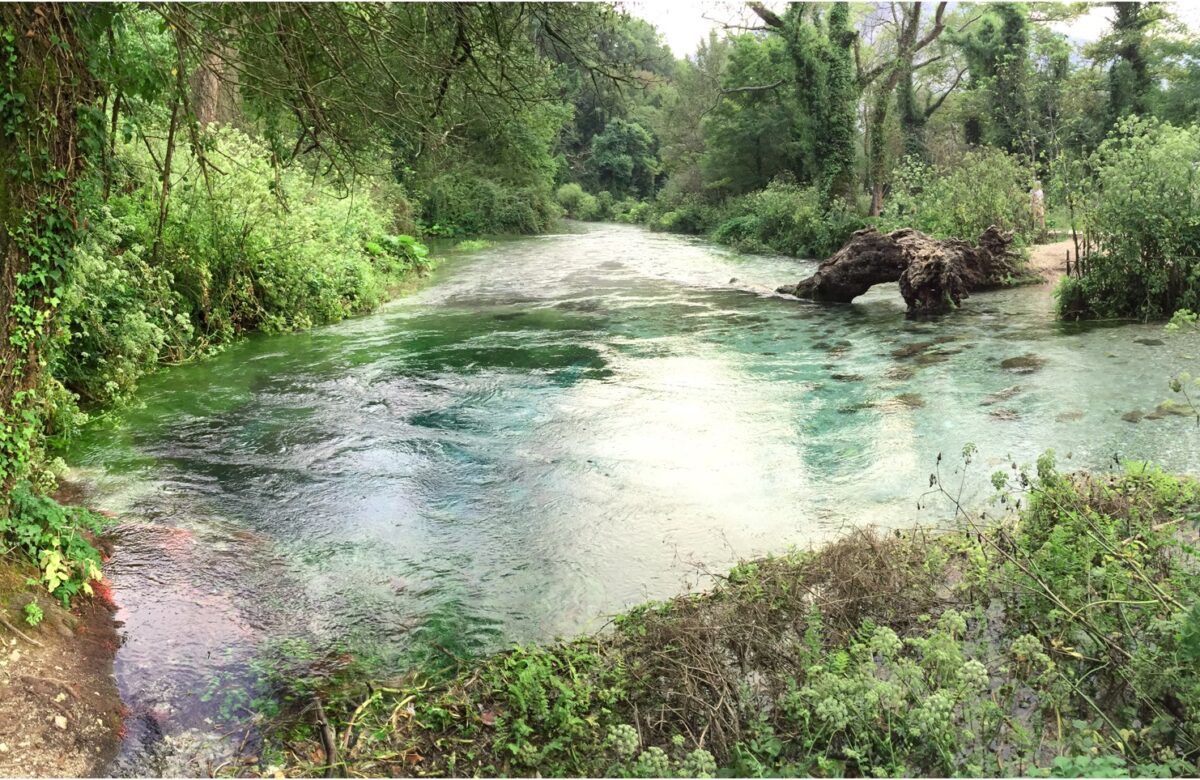 Vendimi i përgjegjshëm i këshilltarëve bashkiakë të Prrenjasit që shpëtoi lumin Bushtrica