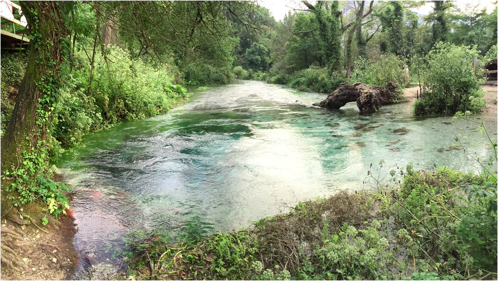  Vendimi i përgjegjshëm i këshilltarëve bashkiakë të Prrenjasit që shpëtoi lumin Bushtrica