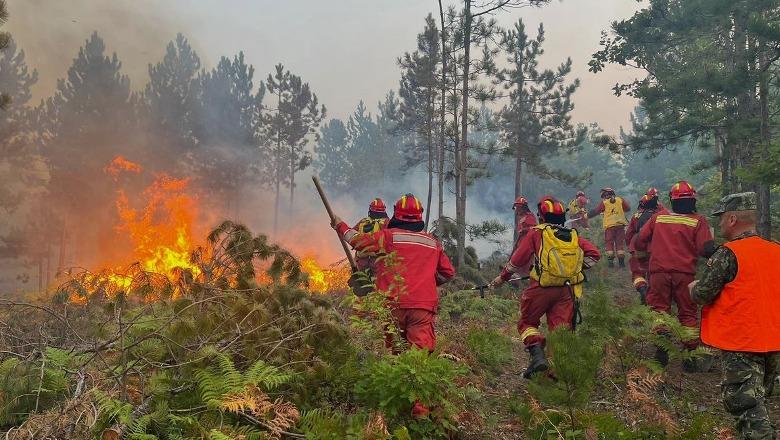  Zjarret e verës, Shqipëria përballë 81 emergjencave masive