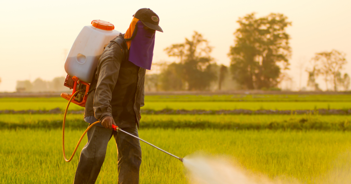 Mbi 400 milionë helmime nga pesticidet çdo vit, studimi ngre alarmin për shëndetin e fermerëve