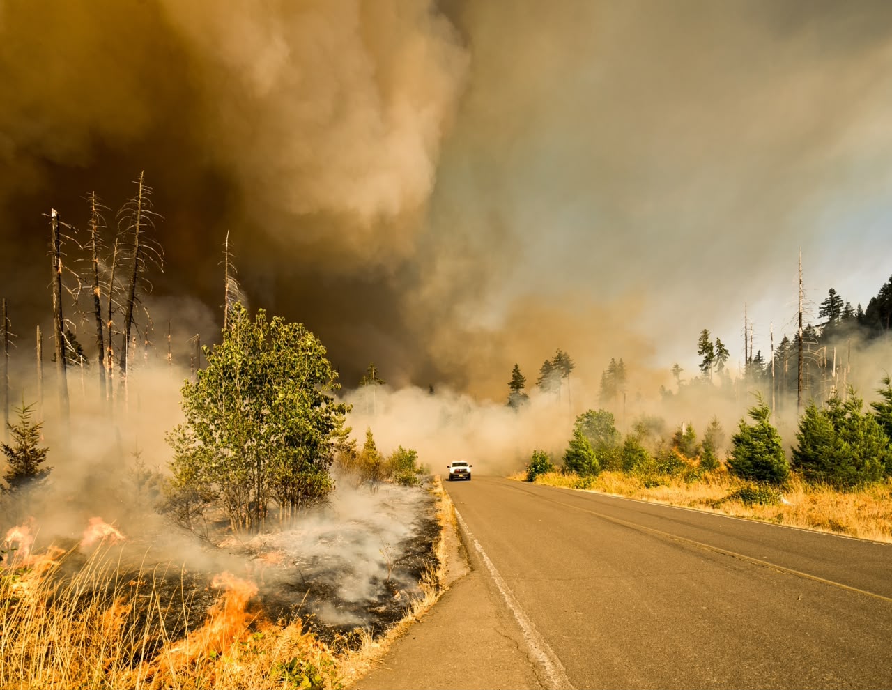  WMO paralajmëron: Zjarret dhe temperaturat ekstreme po përkeqësojnë cilësinë e ajrit