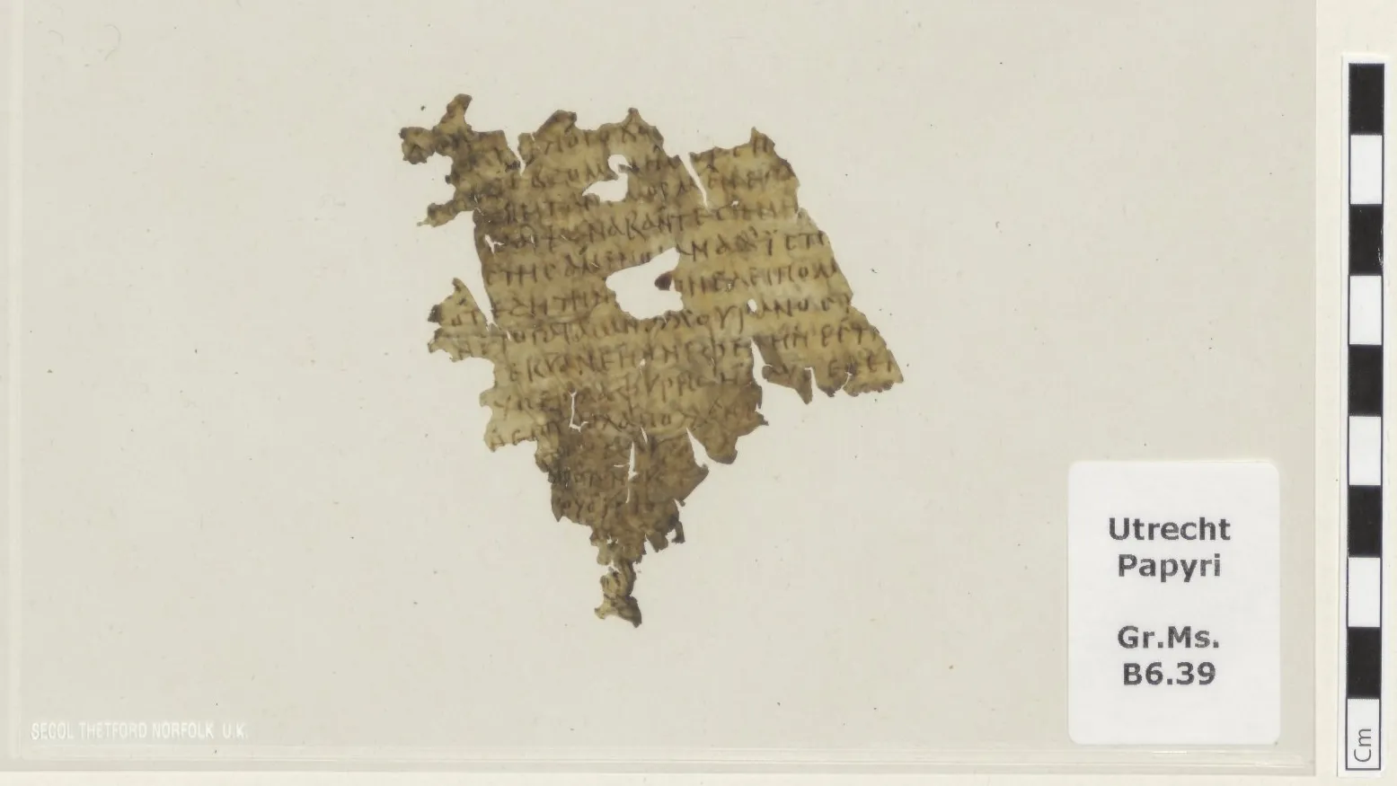  Një copëz 1700-vjeçare e “Odisesë” del në dritë në një bibliotekë holandeze